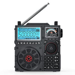 Load image into Gallery viewer, Front view of the RF919 radio gray version