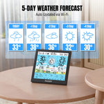Load image into Gallery viewer, WF-120P Professional Weather Station
