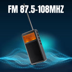 Load image into Gallery viewer, Raddy RF205 Portable FM frequency