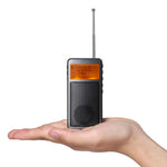 Load image into Gallery viewer, Raddy RF205 radio Mini size