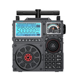 Load image into Gallery viewer, Raddy RF919 radio with t-type antenna