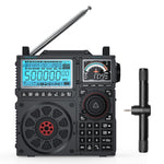 Load image into Gallery viewer, Raddy RF919 with t-type antenna
