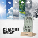 Load image into Gallery viewer, V5 Wireless Weather Station 12H weather forecast
