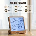 Load image into Gallery viewer, WF-50 Weather Station