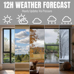 Load image into Gallery viewer, WT-2 Window Thermometer