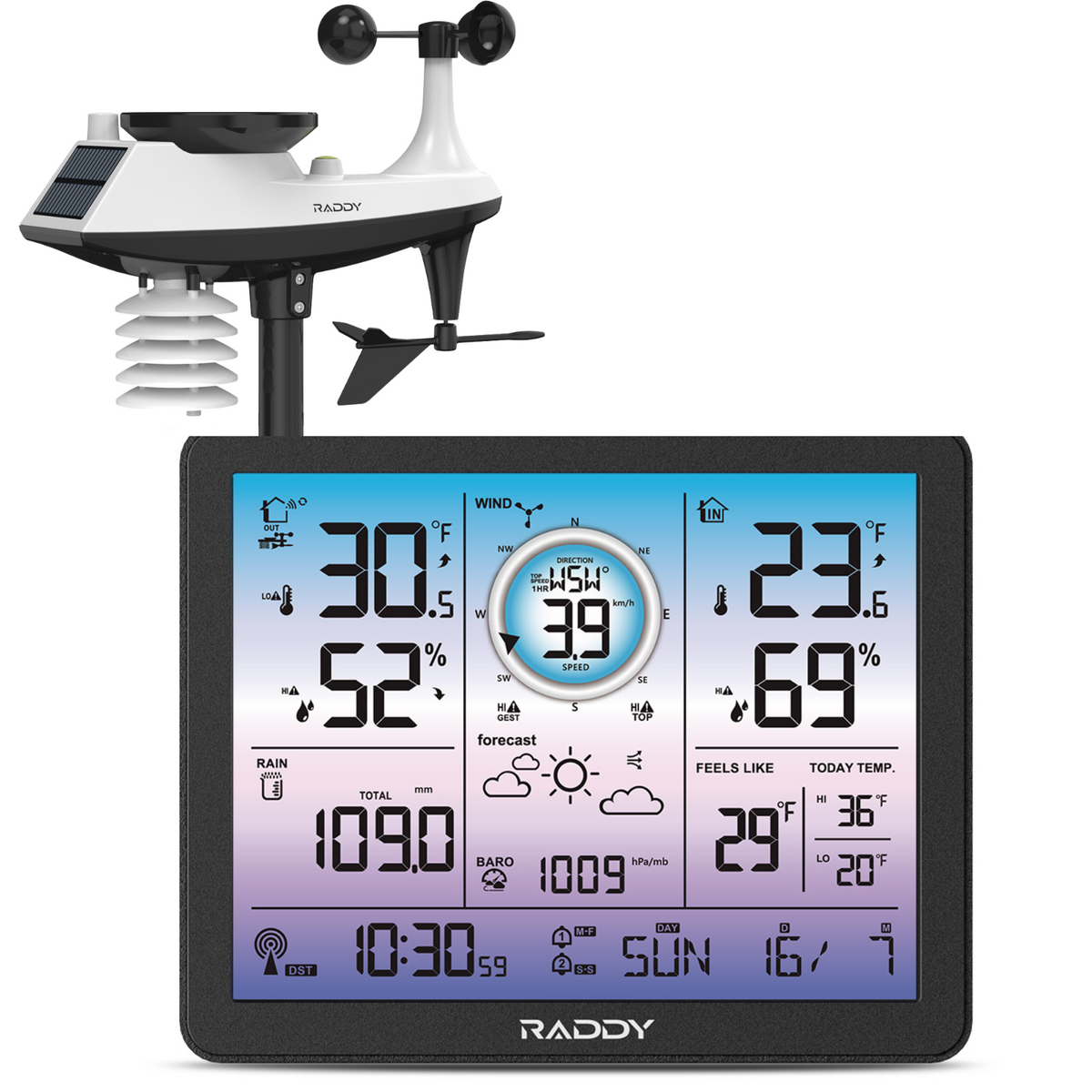Raddy 6.9'' Wireless Outdoor Thermometer