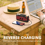 Load image into Gallery viewer, SW3 reverse charging