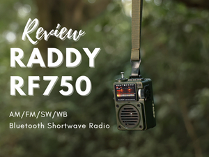 Raddy RF750 Review