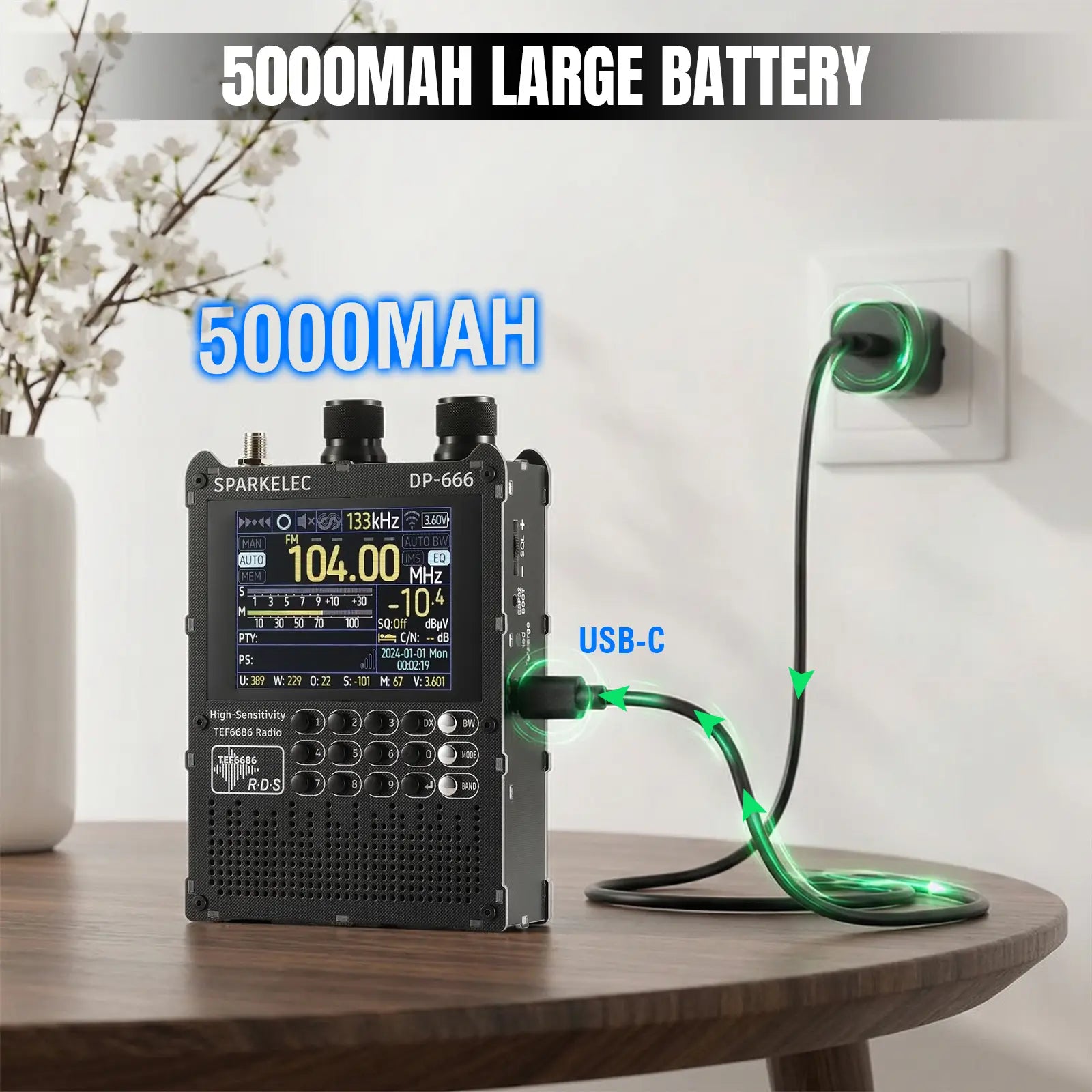 DP-666 Full Band DSP Radio
