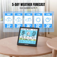 WF-120P Professional Weather Station
