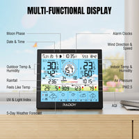 WF-120P Professional Weather Station