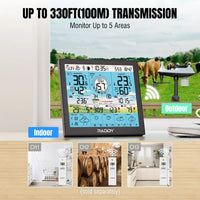 WF-120P Professional Weather Station
