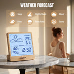 Load image into Gallery viewer, WF-50 Weather Station
