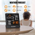 Load image into Gallery viewer, WF-50 Weather Station | VA | Black
