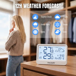 Load image into Gallery viewer, WF-60 Digital Home Weather Station
