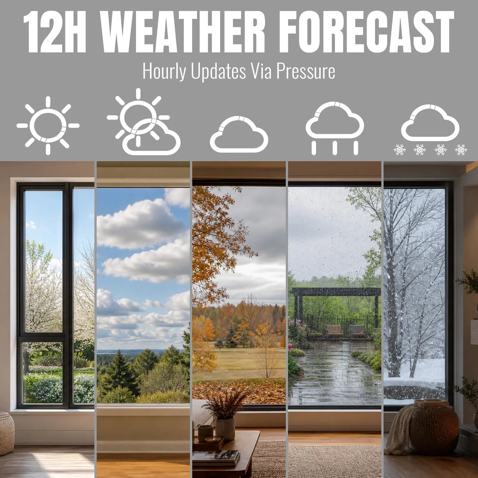 Raddy WT-2 Window Thermometer, Magnetic Outdoor Temp & Barometer Monitor
