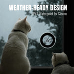 Load image into Gallery viewer, WT-2 Window Thermometer
