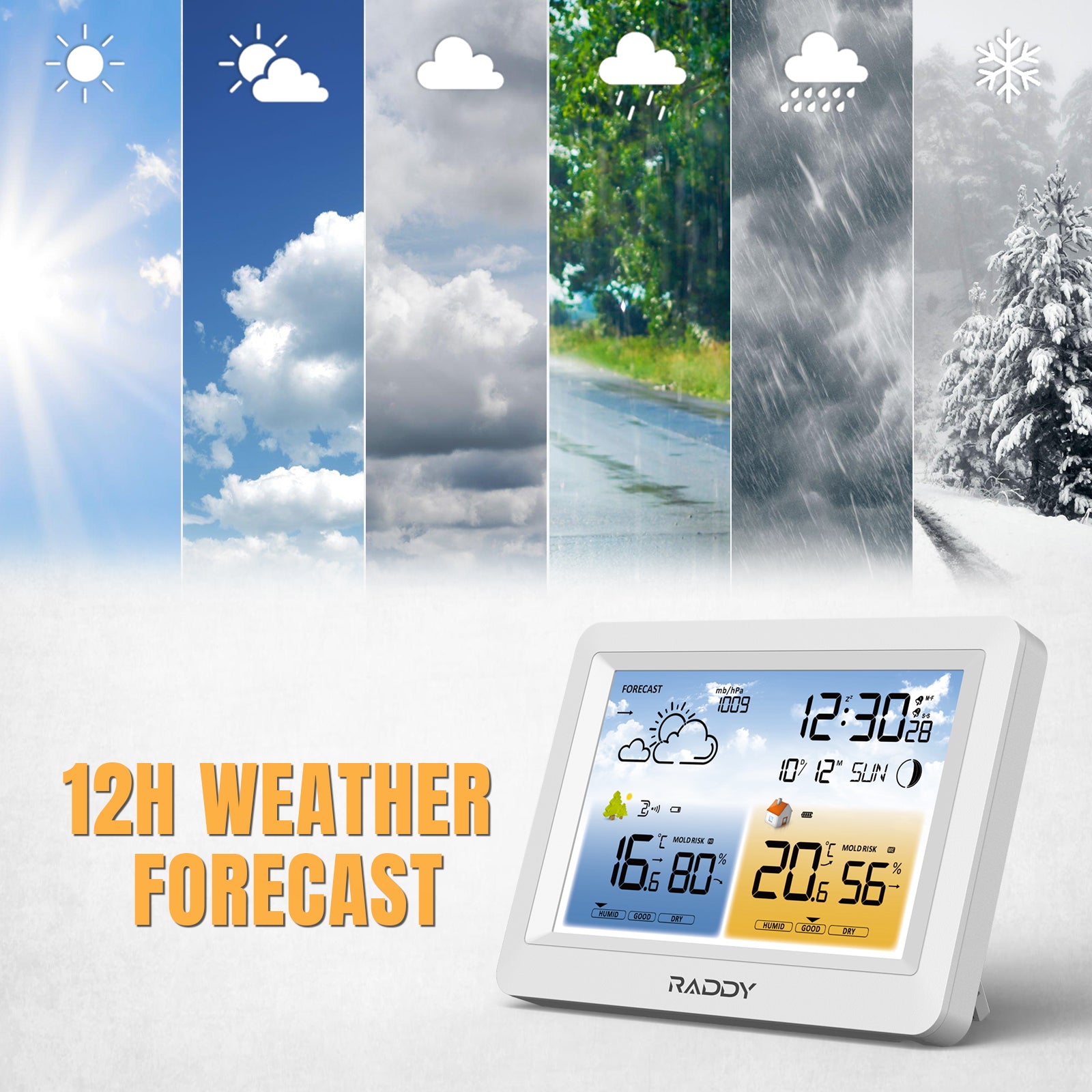 WM6 Weather Station 12h weather forecast 