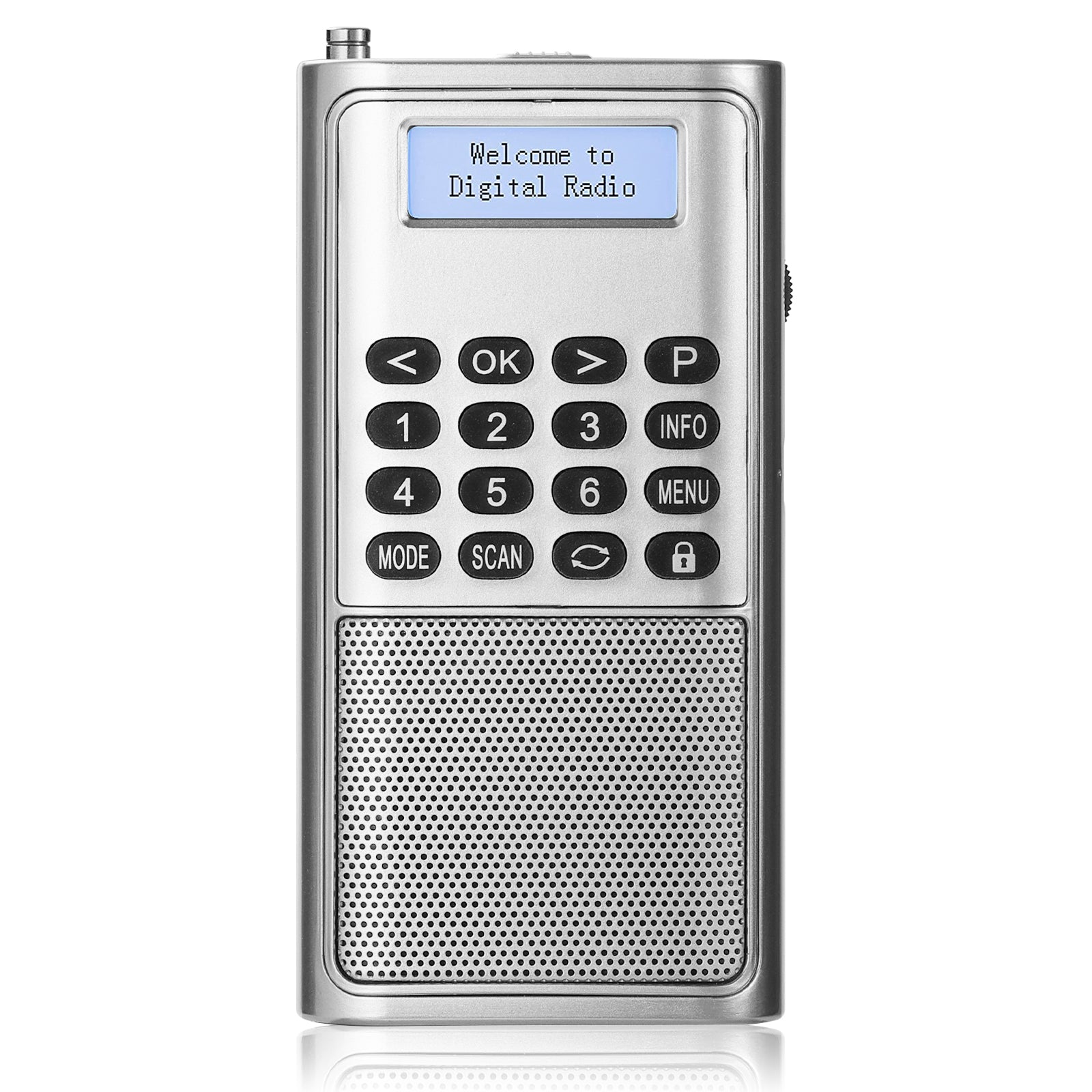 RD23 Tragbares DAB Radio silver version 