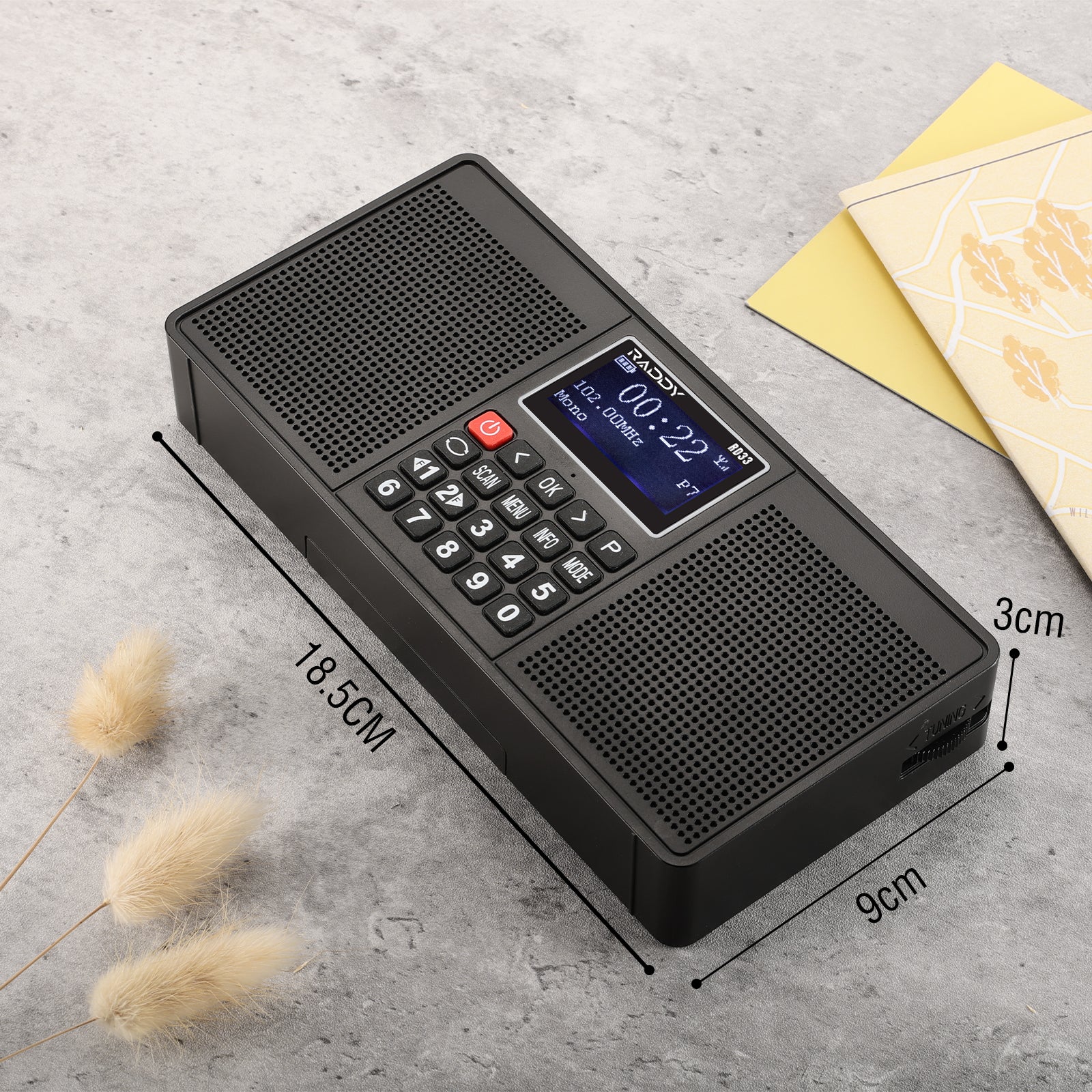 RD33 DAB/DAB+ Radio size