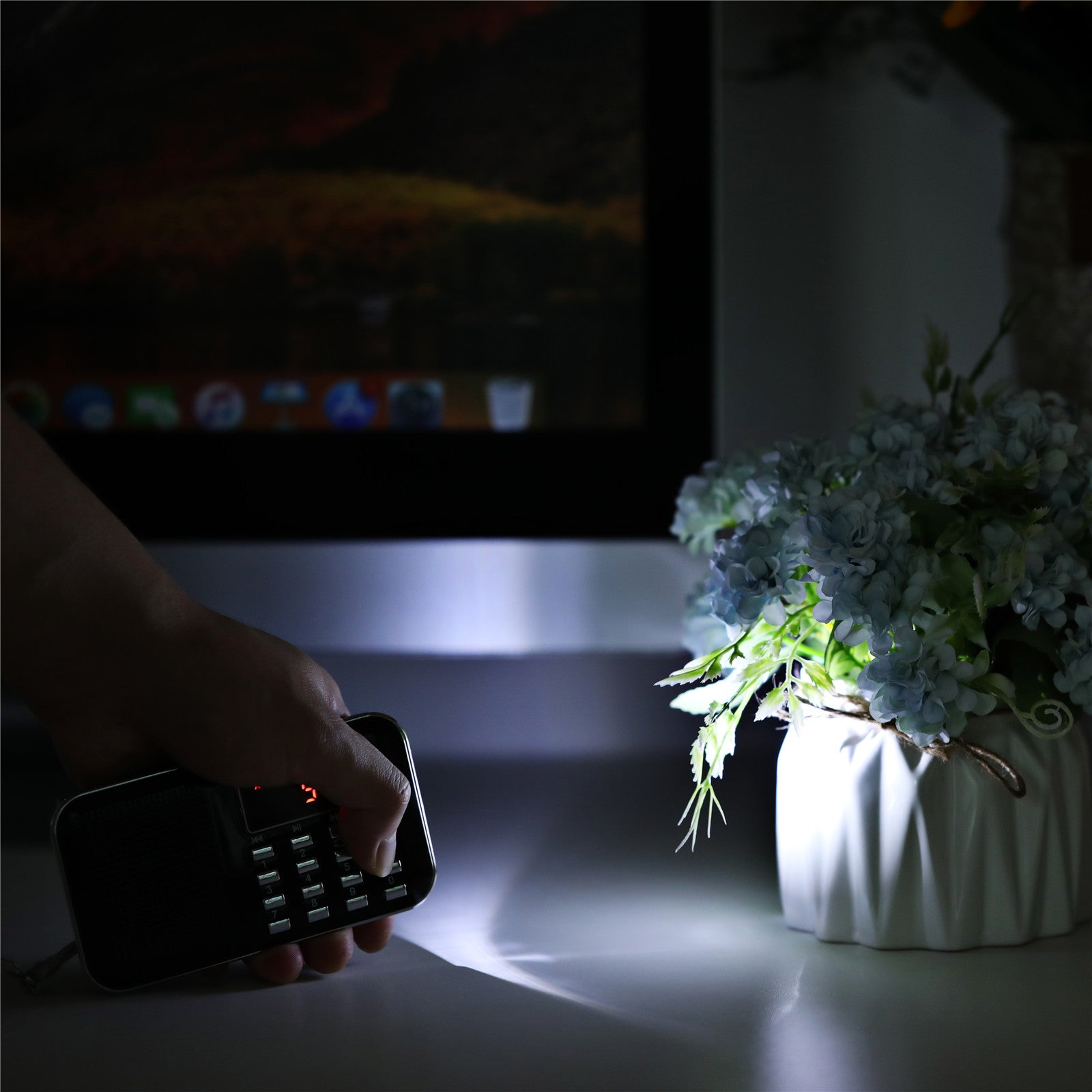 RF23 with LED light 