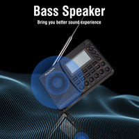 RF30 bass speaker