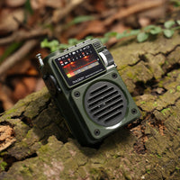 RF750 Retro AM/FM/SW/WB Radio