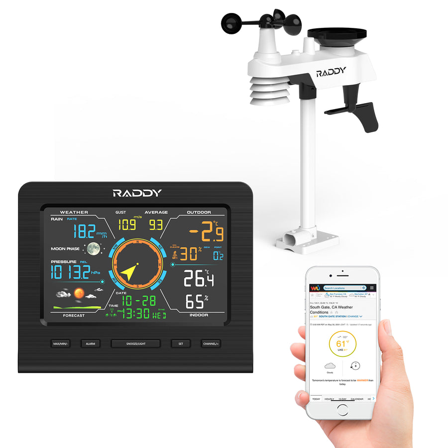 Raddy WF-100C Lite